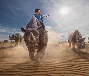 12 главных инструментов Adobe Photoshop — путеводитель от Андрея Журавлева